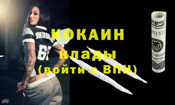ПСИЛОЦИБИНОВЫЕ ГРИБЫ Пересвет