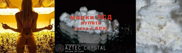 ПСИЛОЦИБИНОВЫЕ ГРИБЫ Пересвет