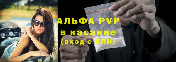 ПСИЛОЦИБИНОВЫЕ ГРИБЫ Пересвет