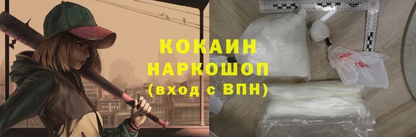 дмт Пестово