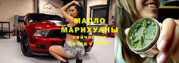 дмт Пестово