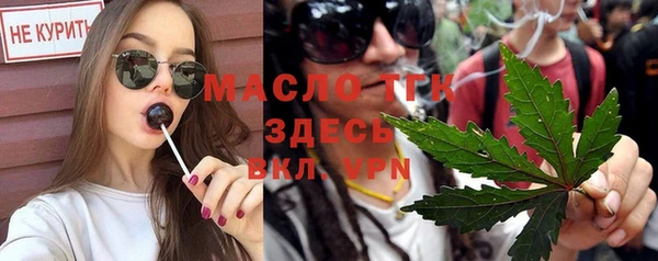 дмт Пестово