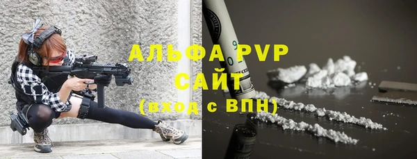 ПСИЛОЦИБИНОВЫЕ ГРИБЫ Пересвет